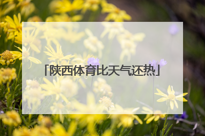 陕西体育比天气还热
