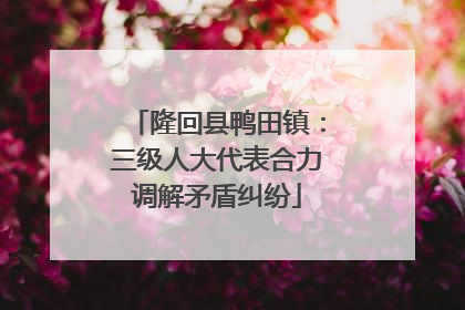 隆回县鸭田镇：三级人大代表合力调解矛盾纠纷