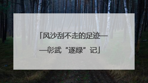 风沙刮不走的足迹——彰武“逐绿”记