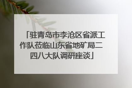 驻青岛市李沧区省派工作队莅临山东省地矿局二四八大队调研座谈