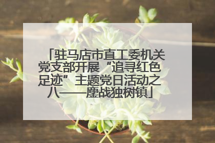 驻马店市直工委机关党支部开展“追寻红色足迹”主题党日活动之八——鏖战独树镇