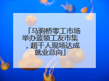 马驹桥零工市场举办蓝领工友市集，超千人现场达成就业意向