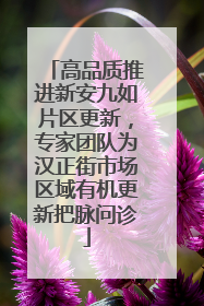 高品质推进新安九如片区更新，专家团队为汉正街市场区域有机更新把脉问诊