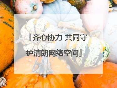 齐心协力 共同守护清朗网络空间