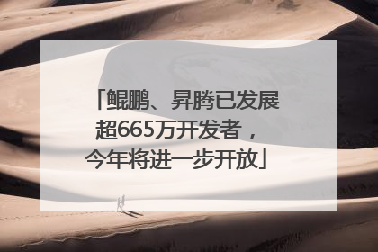 鲲鹏、昇腾已发展超665万开发者，今年将进一步开放