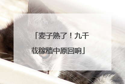 麦子熟了！九千载稼穑中原回响
