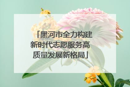 黑河市全力构建新时代志愿服务高质量发展新格局