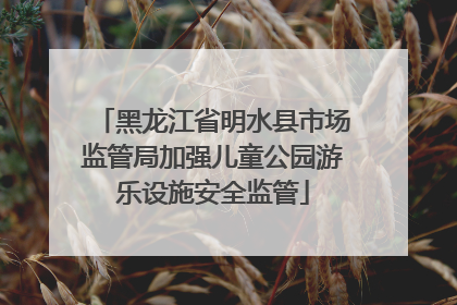黑龙江省明水县市场监管局加强儿童公园游乐设施安全监管