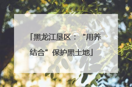 黑龙江垦区：“用养结合”保护黑土地