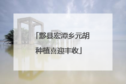 黟县宏潭乡元胡种植喜迎丰收