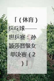 （体育）乒乓球——世乒赛：孙颖莎晋级女单决赛（2）