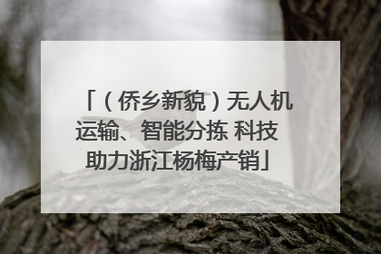 （侨乡新貌）无人机运输、智能分拣 科技助力浙江杨梅产销