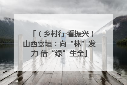 （乡村行·看振兴）山西襄垣：向“林”发力 借“绿”生金