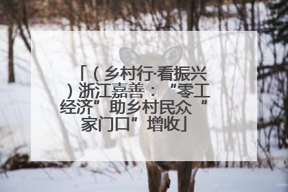 （乡村行·看振兴）浙江嘉善：“零工经济”助乡村民众“家门口”增收