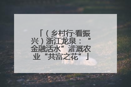 （乡村行·看振兴）浙江龙泉：“金融活水”灌溉农业“共富之花”