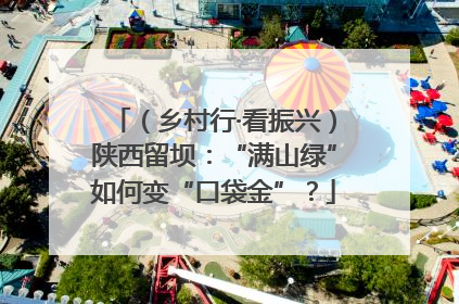 （乡村行·看振兴）陕西留坝：“满山绿”如何变“口袋金”？