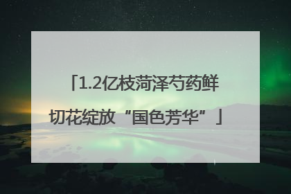 1.2亿枝菏泽芍药鲜切花绽放“国色芳华”