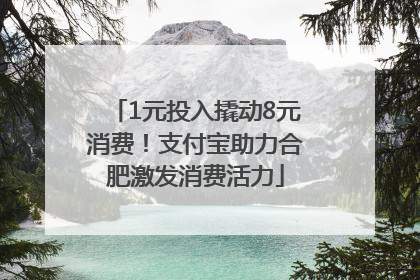 1元投入撬动8元消费！支付宝助力合肥激发消费活力
