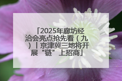 2025年廊坊经洽会亮点抢先看（九）丨京津冀三地将开展“链”上招商