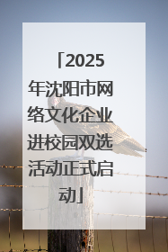2025年沈阳市网络文化企业进校园双选活动正式启动