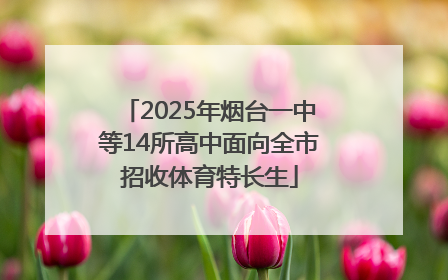 2025年烟台一中等14所高中面向全市招收体育特长生