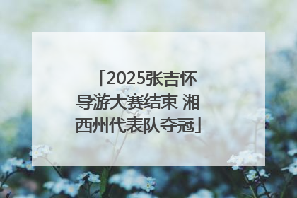 2025张吉怀导游大赛结束 湘西州代表队夺冠