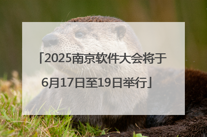 2025南京软件大会将于6月17日至19日举行