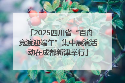2025四川省“百舟竞渡迎端午”集中展演活动在成都新津举行