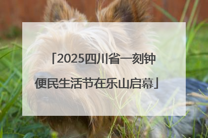 2025四川省一刻钟便民生活节在乐山启幕