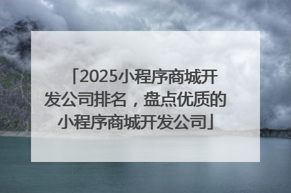 2025小程序商城开发公司排名，盘点优质的小程序商城开发公司