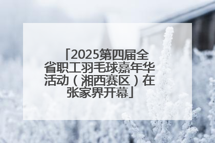 2025第四届全省职工羽毛球嘉年华活动（湘西赛区）在张家界开幕