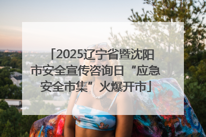 2025辽宁省暨沈阳市安全宣传咨询日“应急安全市集”火爆开市