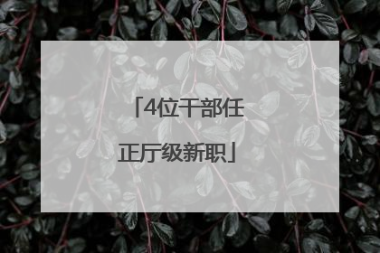 4位干部任正厅级新职