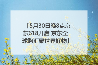 5月30日晚8点京东618开启 京东全球购汇聚世界好物