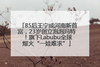85后王宁成河南新首富，23岁创立泡泡玛特！旗下Labubu全球爆火“一娃难求”