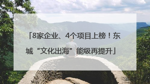 8家企业、4个项目上榜！东城“文化出海”能级再提升