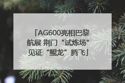AG600亮相巴黎航展 荆门“试炼场”见证“鲲龙”腾飞