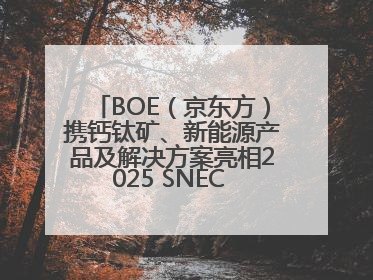 BOE（京东方）携钙钛矿、新能源产品及解决方案亮相2025 SNEC 科技创新赋能行业绿色发展